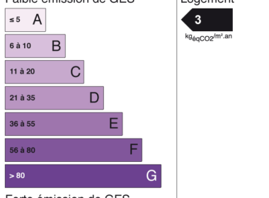 ges (21)