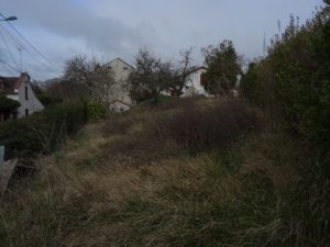 CHAMPAGNE SUR SEINE TERRAIN