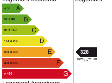 DPE appartement 77250 PERONNET