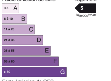 ges (30)