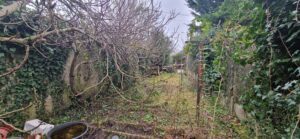 VENEUX LES SABLONS maison de ville avec garage et jardin indépendant