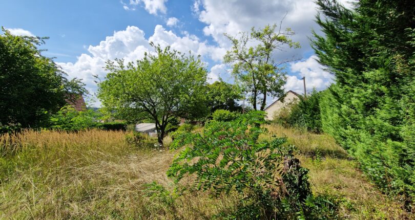 EXCLUSIVITE – CHAMPAGNE SUR SEINE