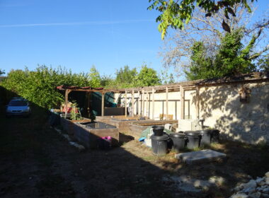 DSC02383