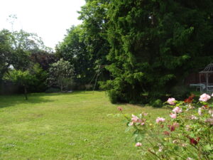 Appartement T3 à rénover 77780 PERONNET IMMO