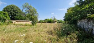 Peronnet 77810 Terrain à bâtir