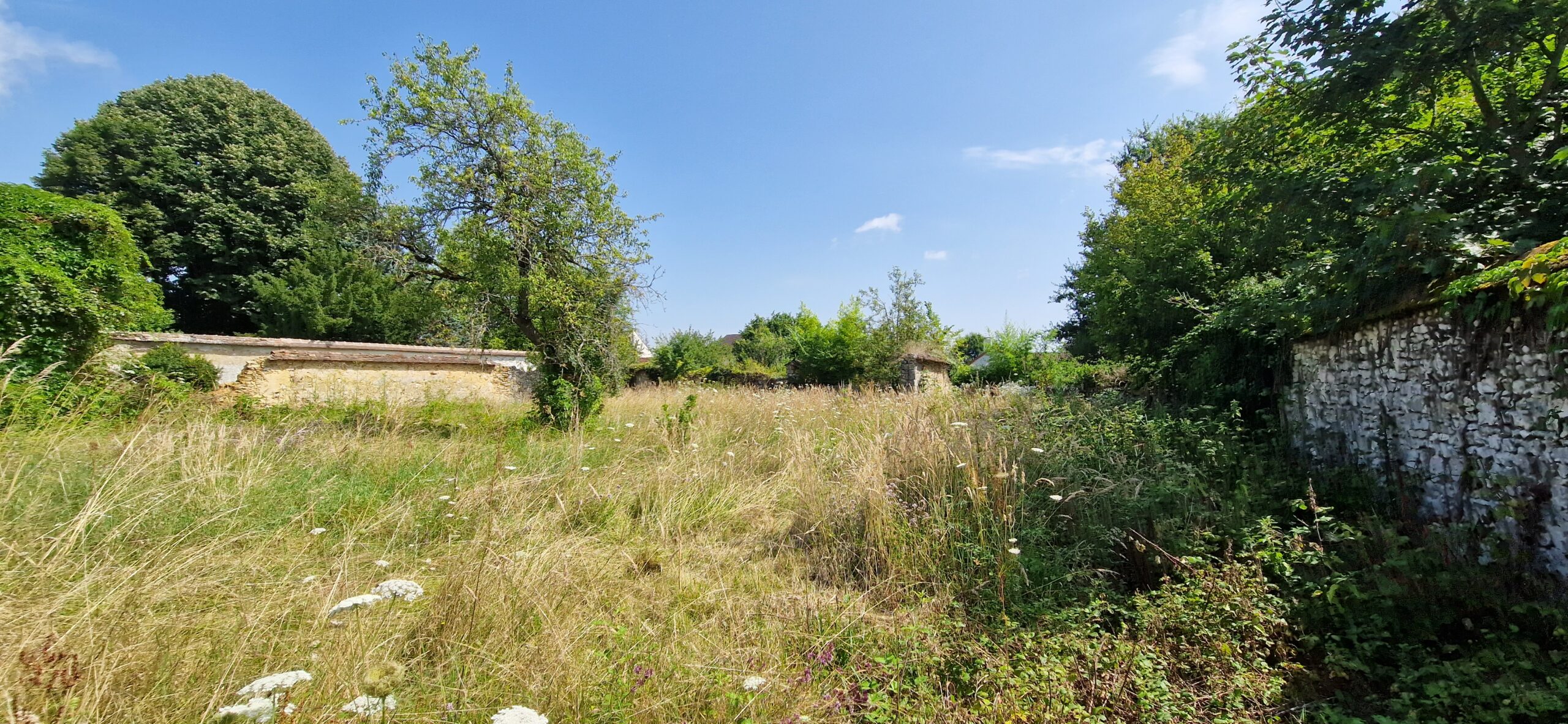 Peronnet 77810 Terrain à bâtir