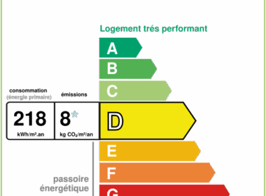 Cabinet Peronnet - DPE VENEUX
